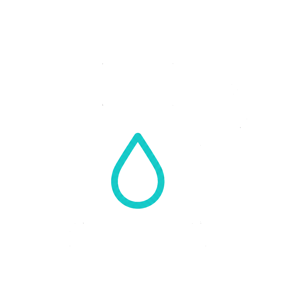 Fuel